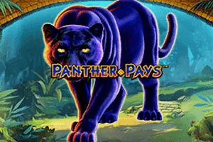 Panther Pays - STONEBET88