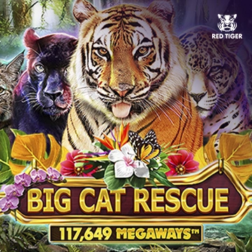 Big Cat Rescue Megaways - STONEBET88