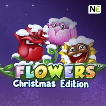 Flowers Christmas Edition - STONEBET88