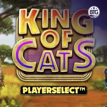 King of Cats - STONEBET88