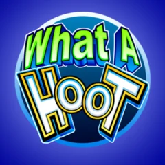 What A Hoot - STONEBET88