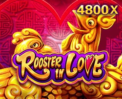Rooster In Love - STONEBET88