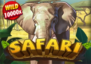 Safari - STONEBET88