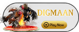 Digman - STONEBET88