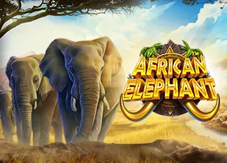 Pragmatic : African Elephant - STONEBET88